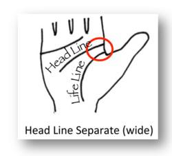 head-line-separate